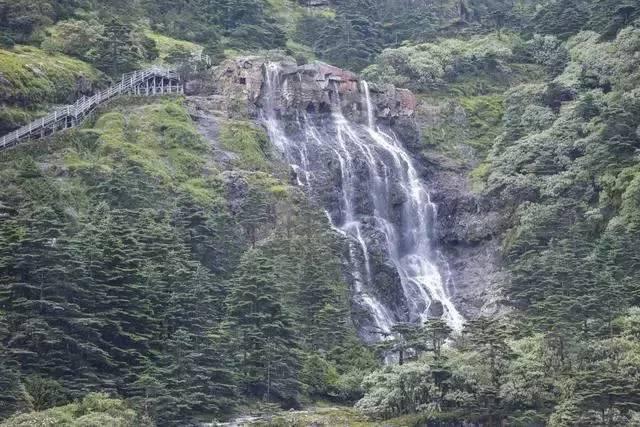 小恐龙来找茬